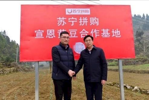 “拼基地”“拼品牌”并重  苏宁拼购助力乡村经济腾飞